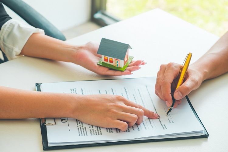 Real Estate Lawyer Explaining Contract